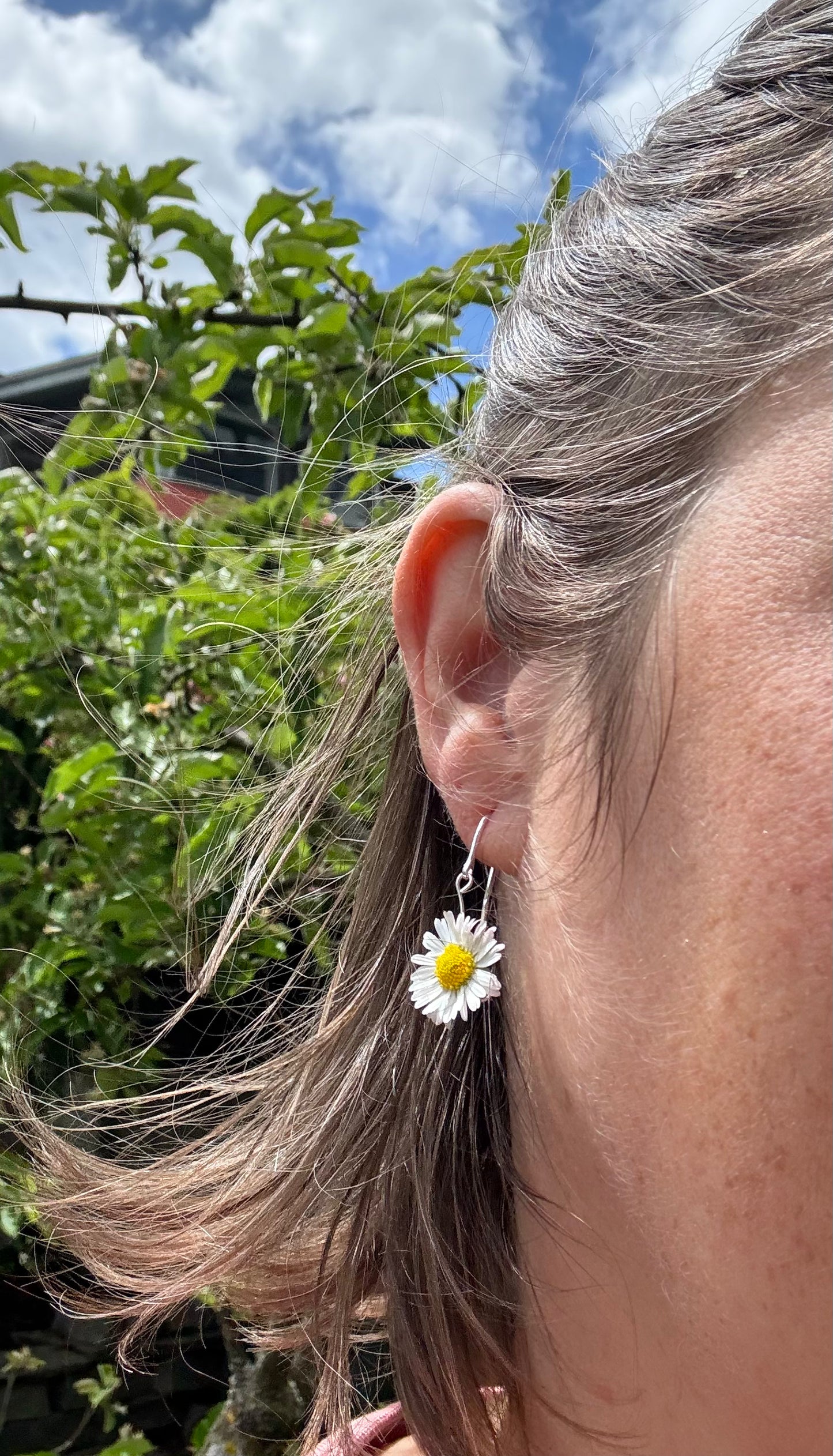 Wiesen-Blumenohringe